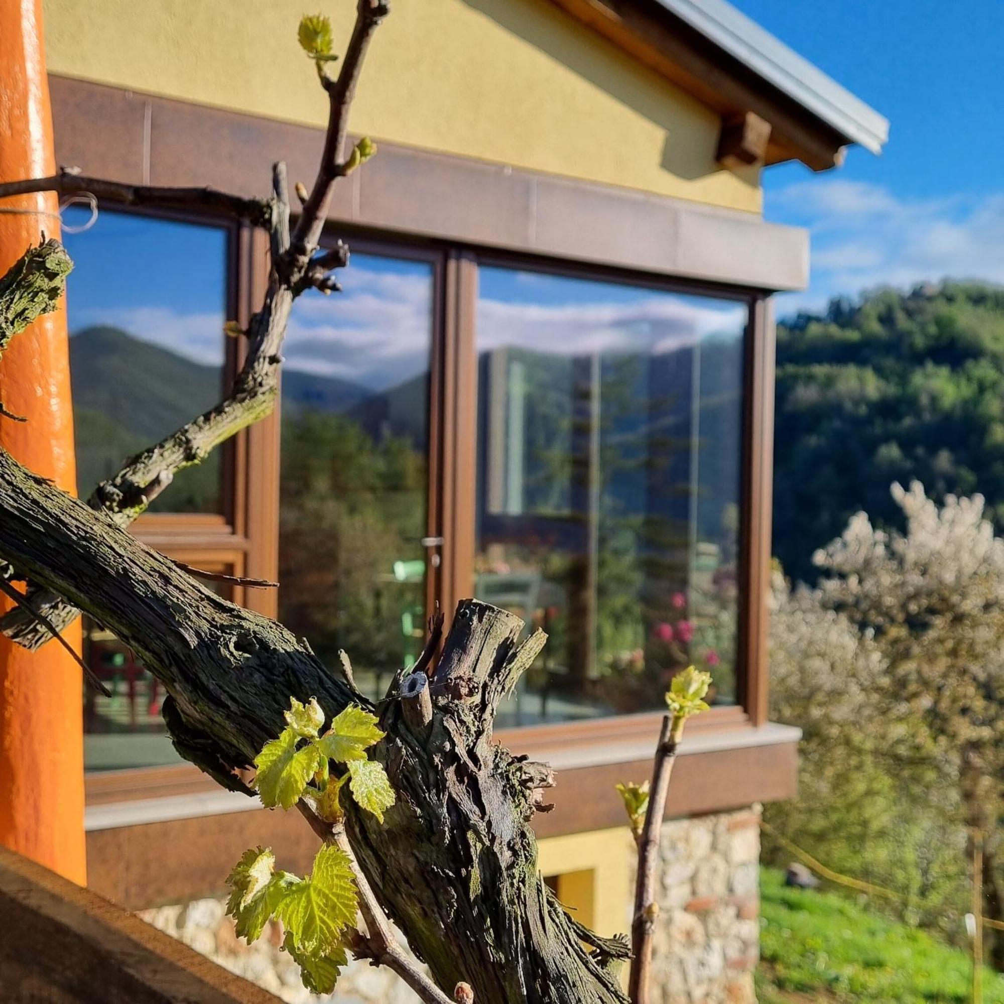 La Botalla Agriturismo Lisio Exterior foto